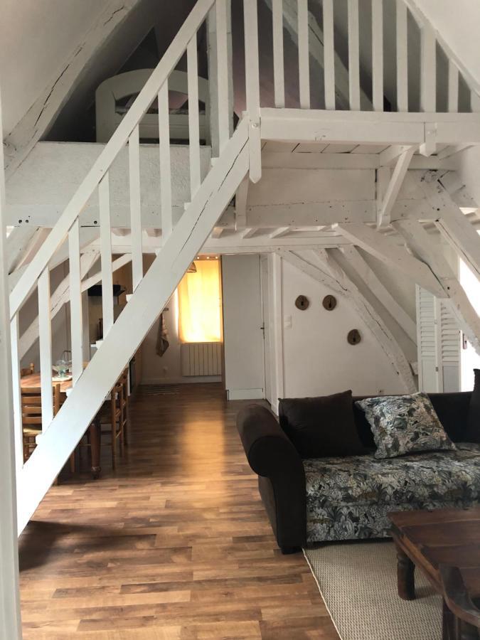 Le Grand Appartement - 90M2- 2 Chb , 1 Mezzanine - 6Pers Romorantin-Lanthenay Eksteriør billede