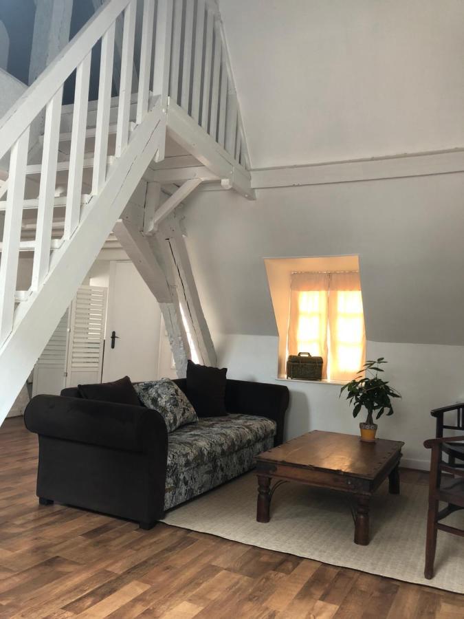 Le Grand Appartement - 90M2- 2 Chb , 1 Mezzanine - 6Pers Romorantin-Lanthenay Eksteriør billede
