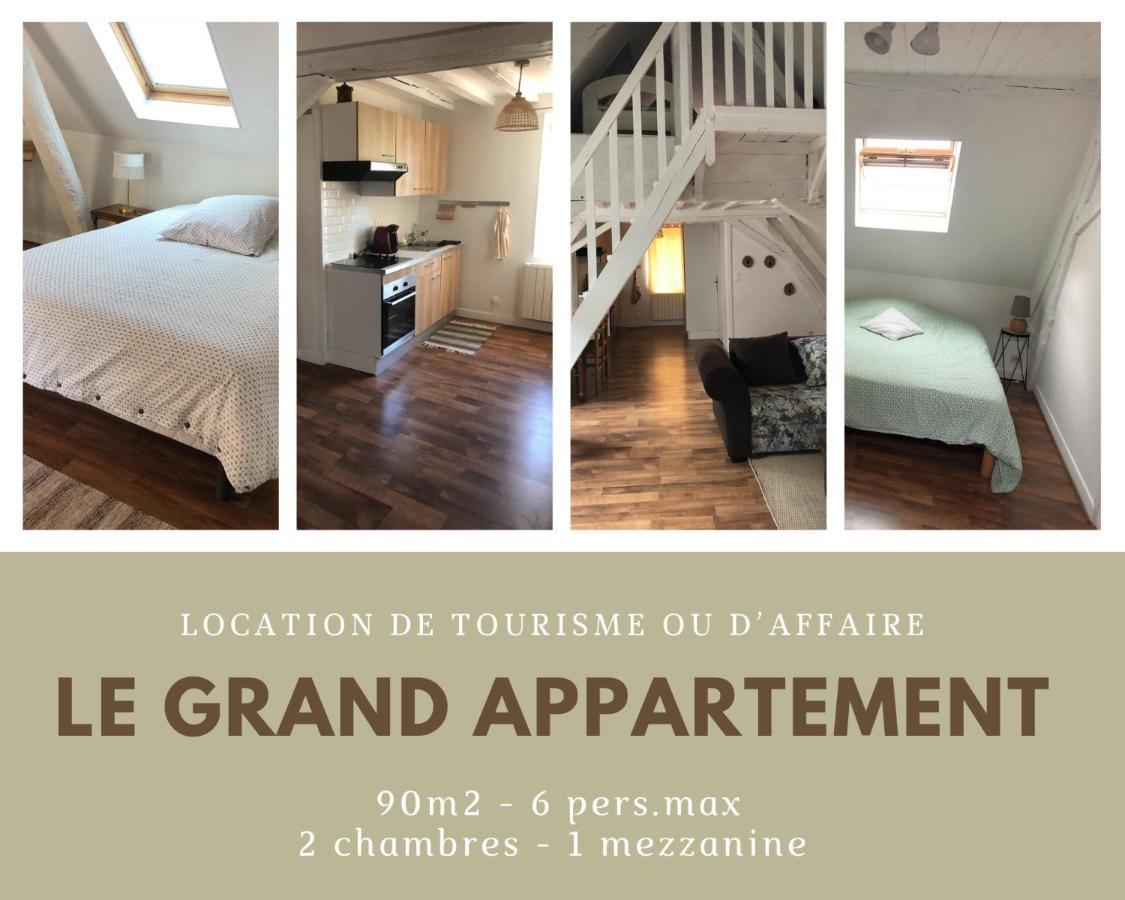Le Grand Appartement - 90M2- 2 Chb , 1 Mezzanine - 6Pers Romorantin-Lanthenay Eksteriør billede
